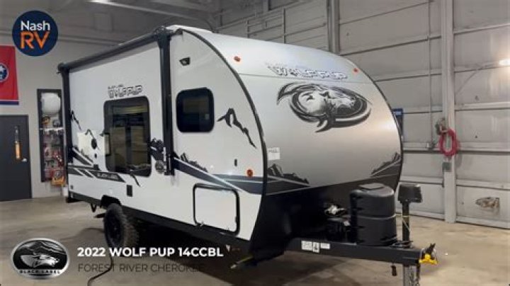 Are Cherokee Wolf Pups good trailers?