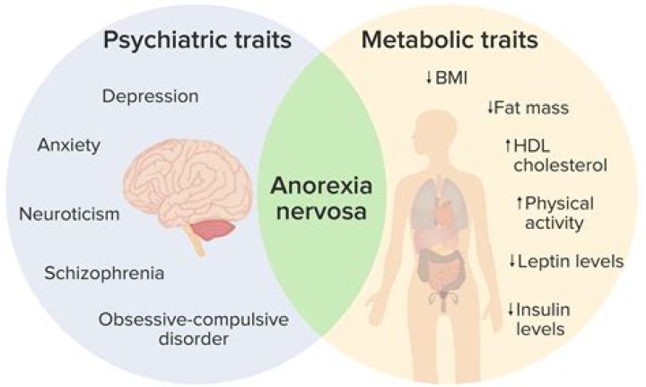 Can a normal person get anorexia?