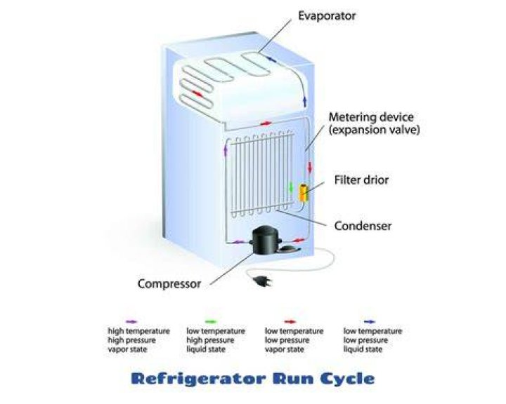 Can a refrigerator run on 110?
