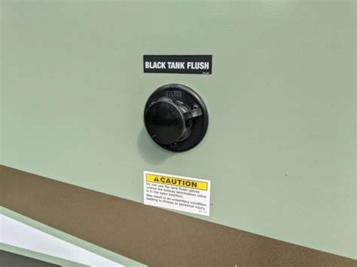 Do you flush black tank every time?
