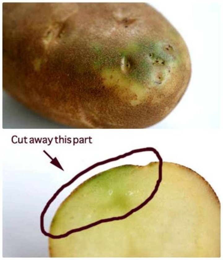 Does cooking kill solanine?