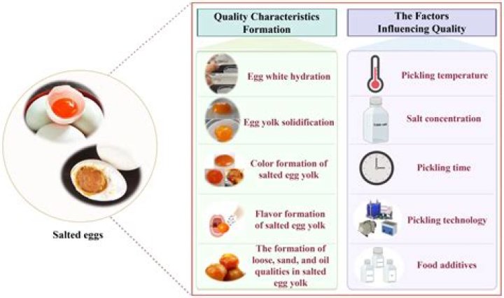 How are salted eggs made?