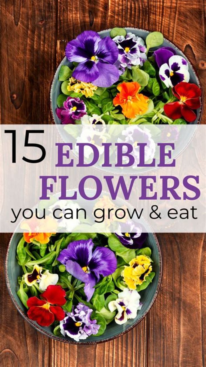 How do you make edible flowers?