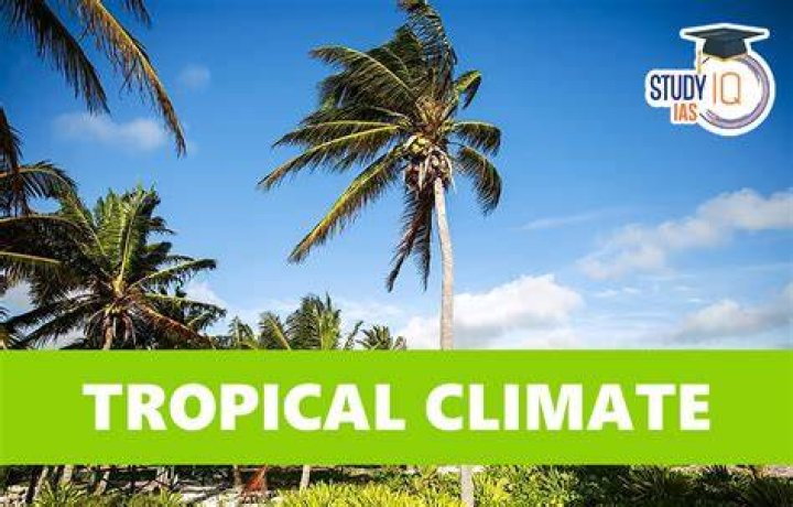 How do you survive a tropical climate?