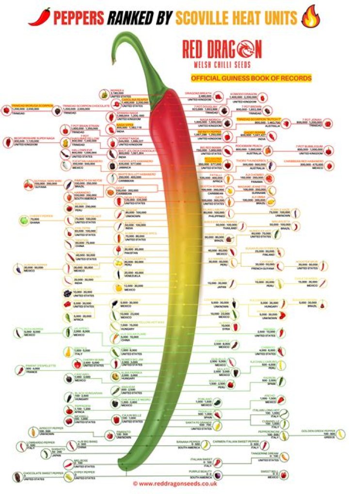 How long does fresh chilli last?