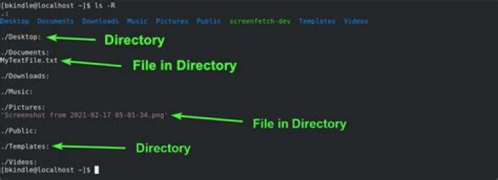 How to find all empty files in a specific directory?