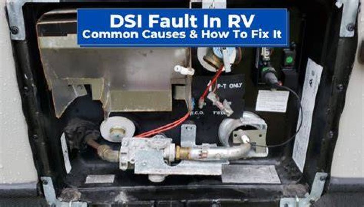 What does DSI fault stand for?