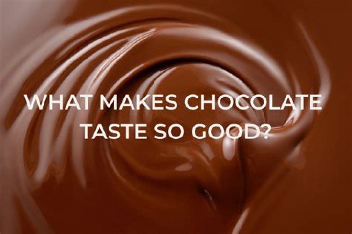 What food makes chocolate?