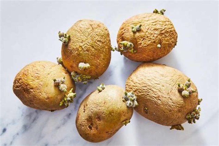 Why are potatoes so satisfying?
