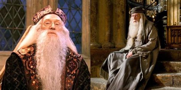 Why do we hate Dumbledore in Harry Potter?