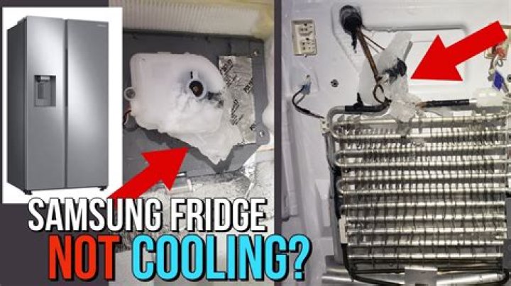 Why fridge is not getting cold bottom freezer works?